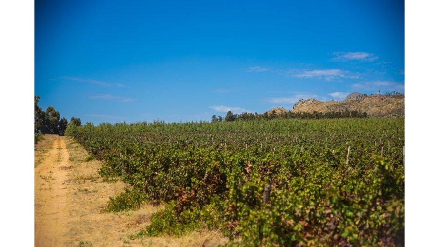 Commercial Property for Sale in Wolseley Western Cape